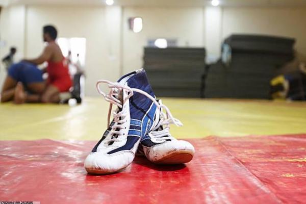 体育培训分工与职责内容解析